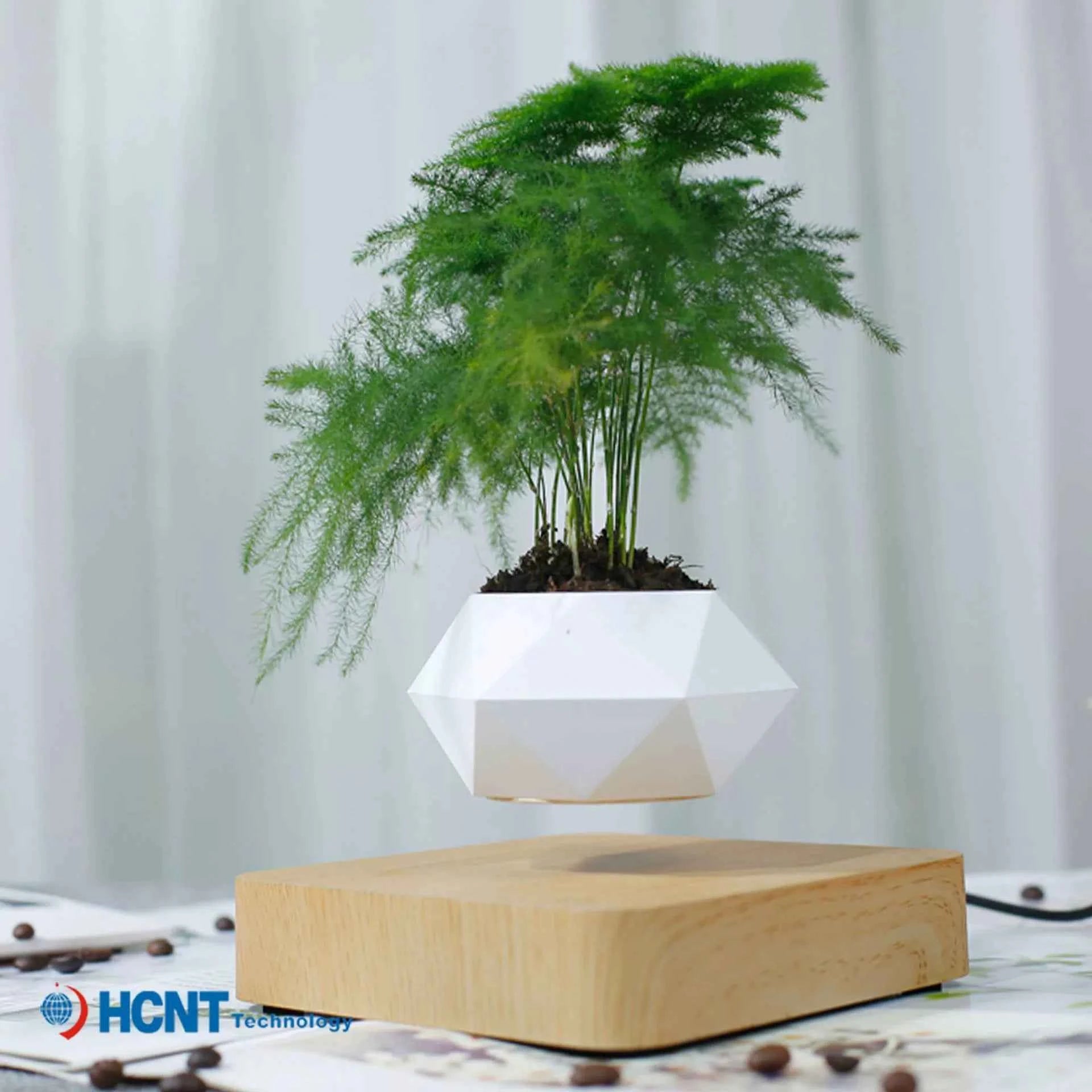 Maglev Potted Plant - For Creative Birthday Gifts