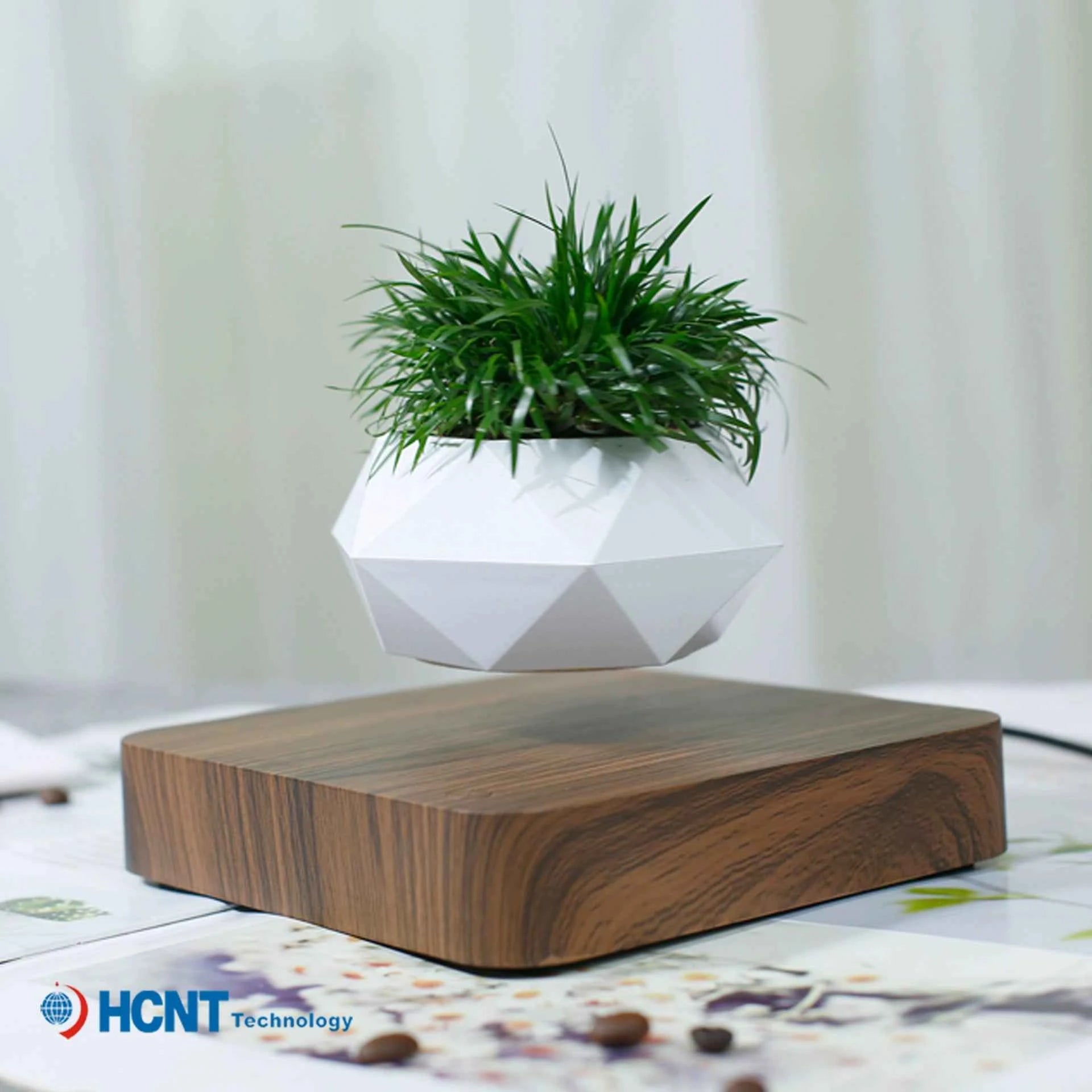 Maglev Potted Plant - For Creative Birthday Gifts