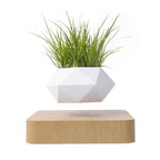 Maglev Potted Plant - For Creative Birthday Gifts