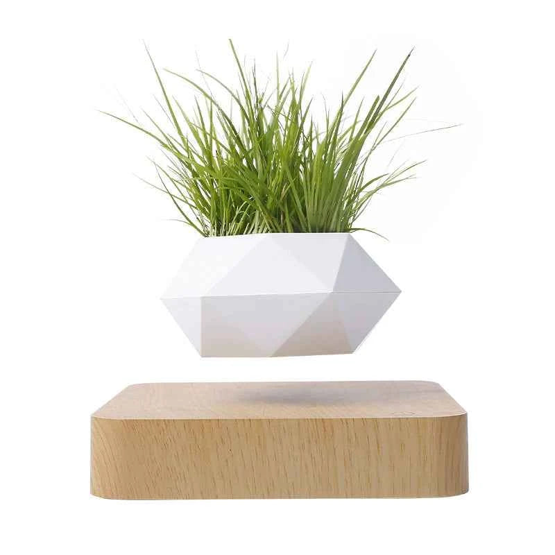 Maglev Potted Plant - For Creative Birthday Gifts