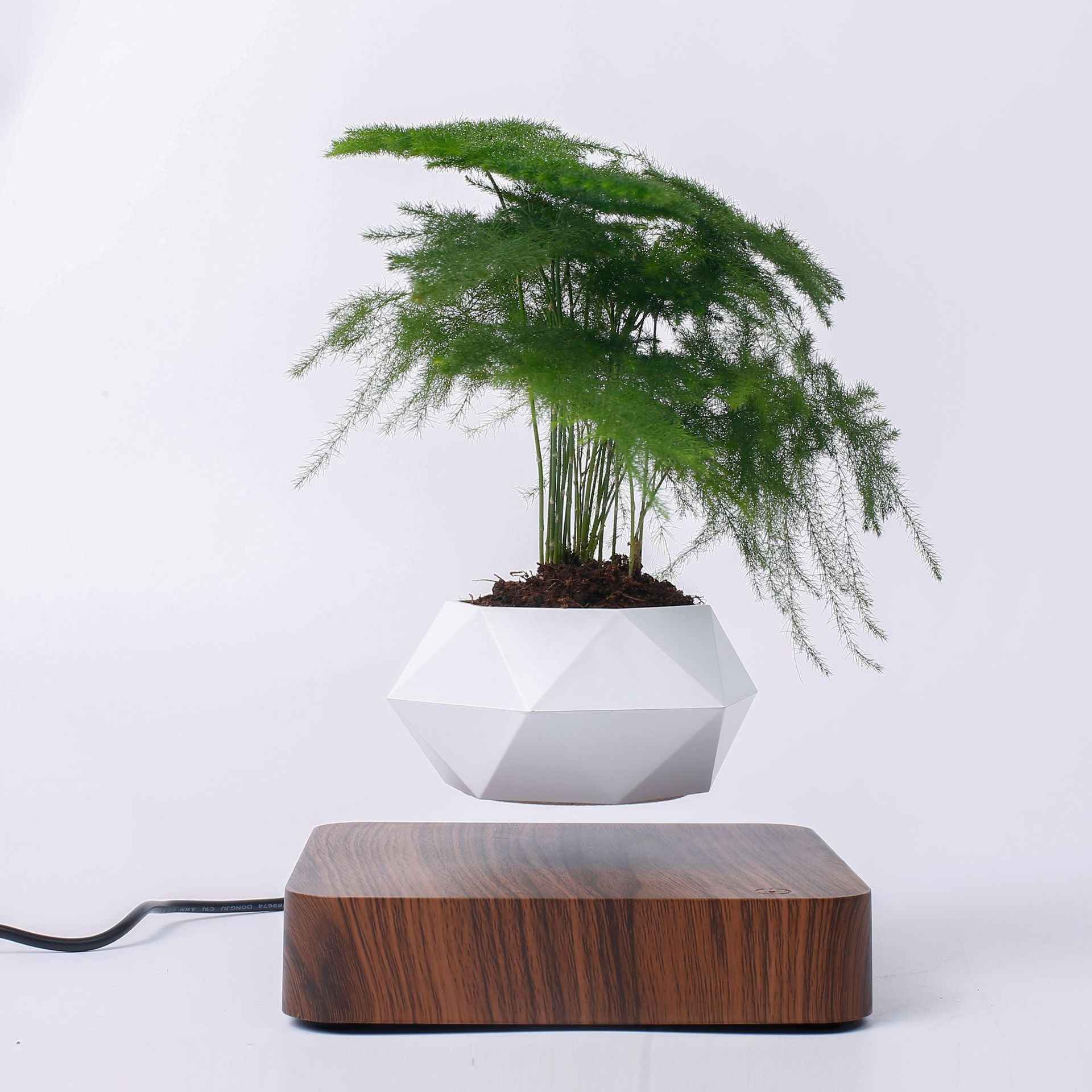 Maglev Potted Plant - For Creative Birthday Gifts