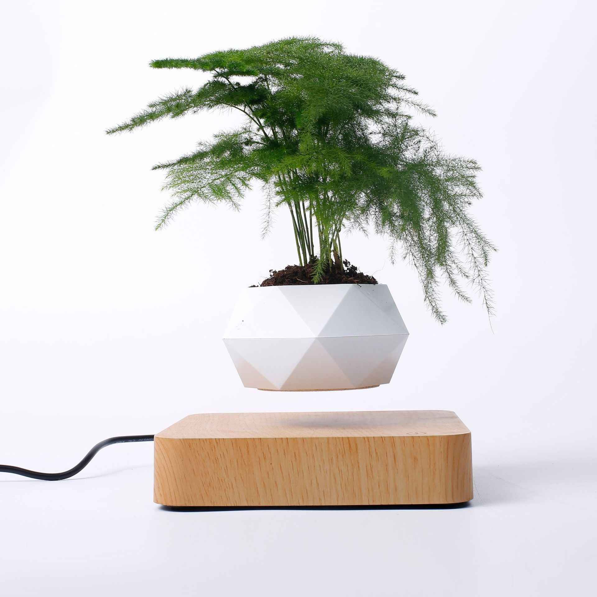 Maglev Potted Plant - For Creative Birthday Gifts